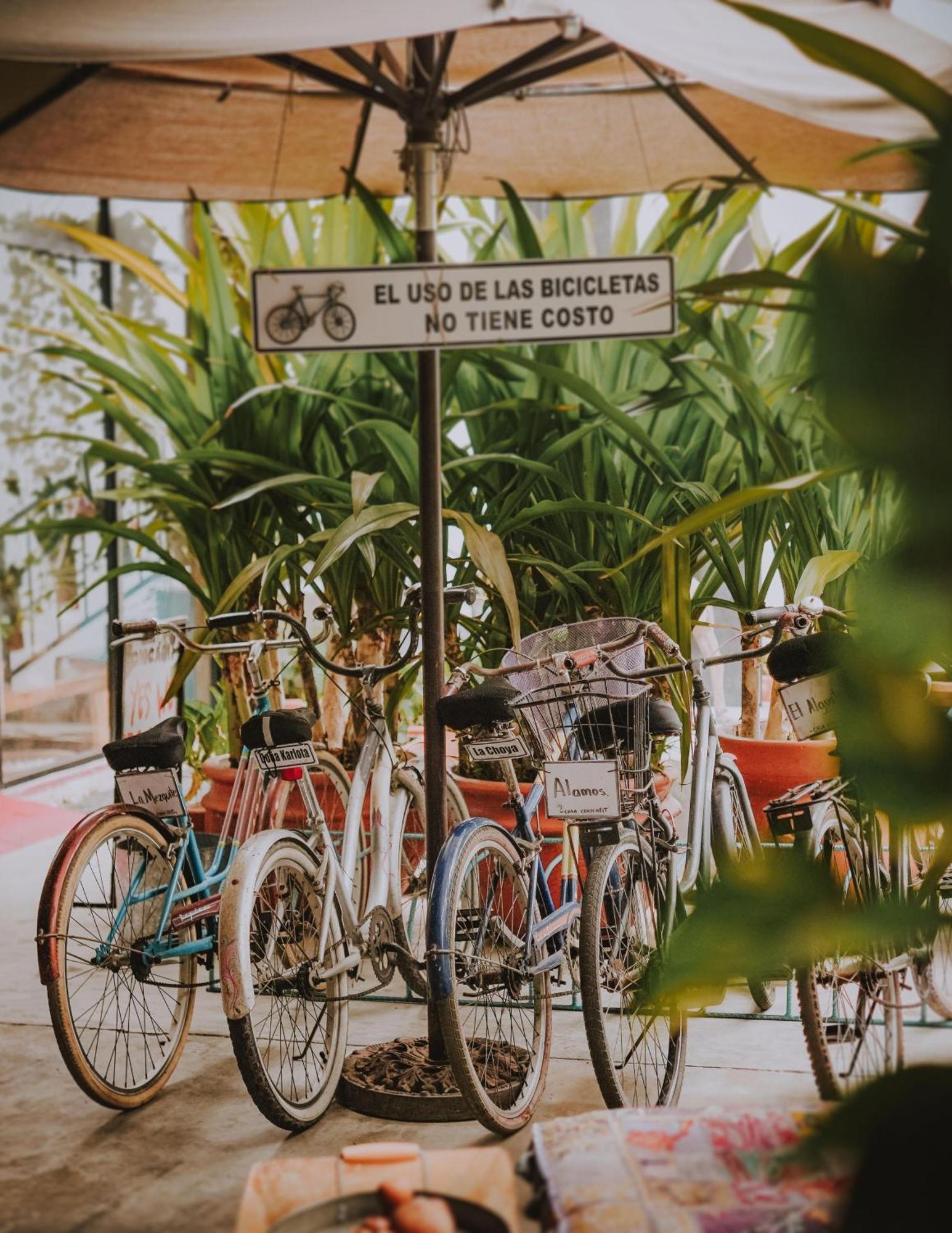 Casa Conicarit Otel Puerto Escondido  Dış mekan fotoğraf